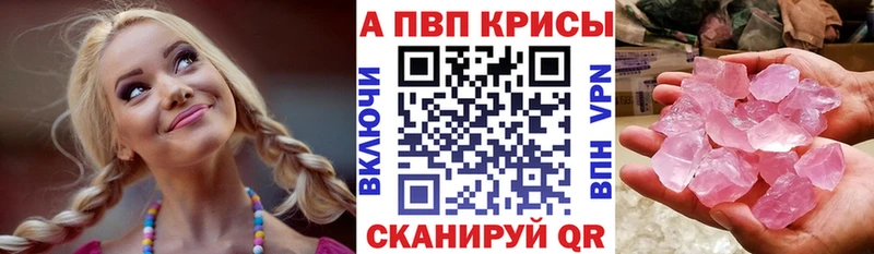 Альфа ПВП СК Трубчевск