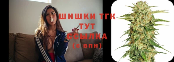 прущая мука Михайлов