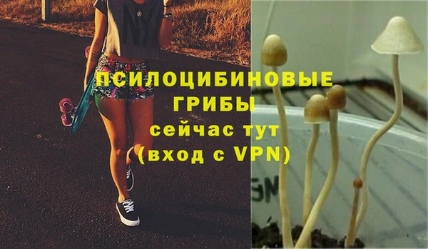 прущая мука Михайлов