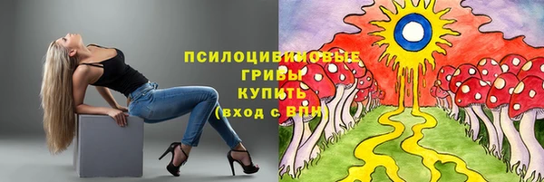 прущая мука Михайлов